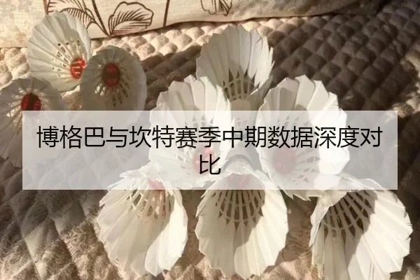 博格巴与坎特赛季中期数据深度对比